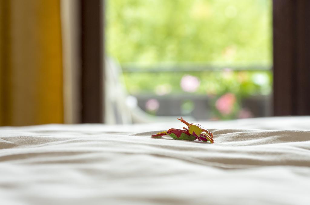 Gasthof & Landhotel Ohrnbachtal Weilbach Екстериор снимка