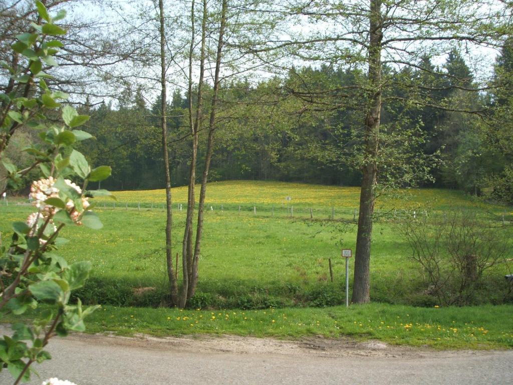 Gasthof & Landhotel Ohrnbachtal Weilbach Екстериор снимка