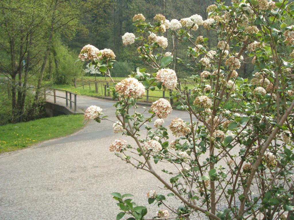 Gasthof & Landhotel Ohrnbachtal Weilbach Екстериор снимка